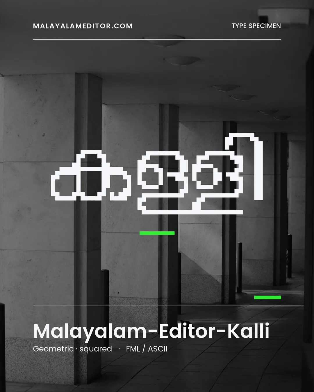 Kalli — കള്ളി