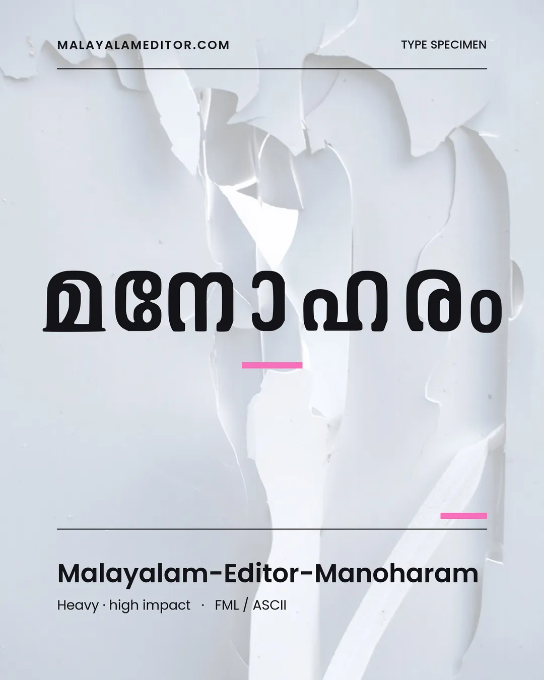 Manoharam — മനോഹരം