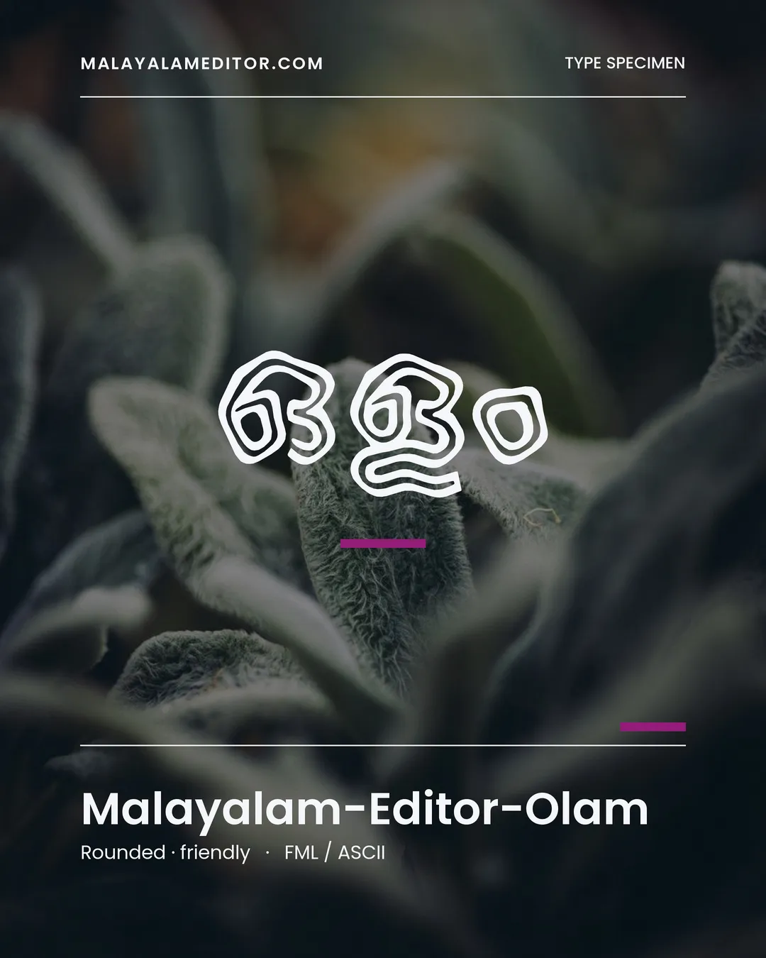 Olam — ഓളം