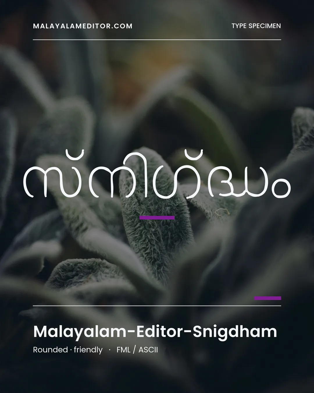 Snigdham — സ്നിഗ്ദ്ധം