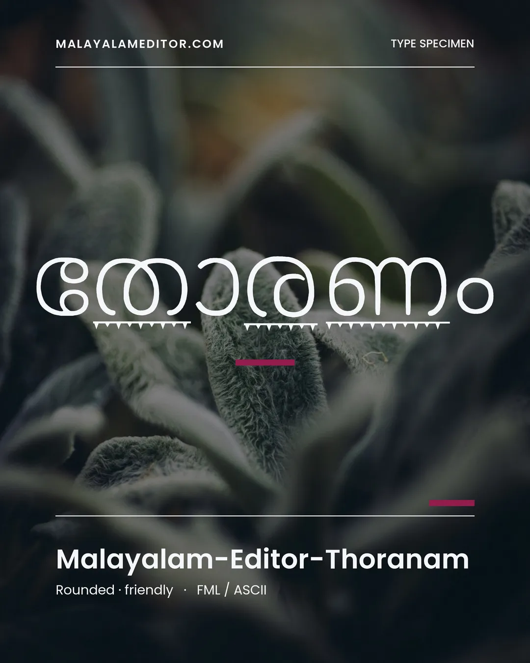 Thoranam — തോരണം