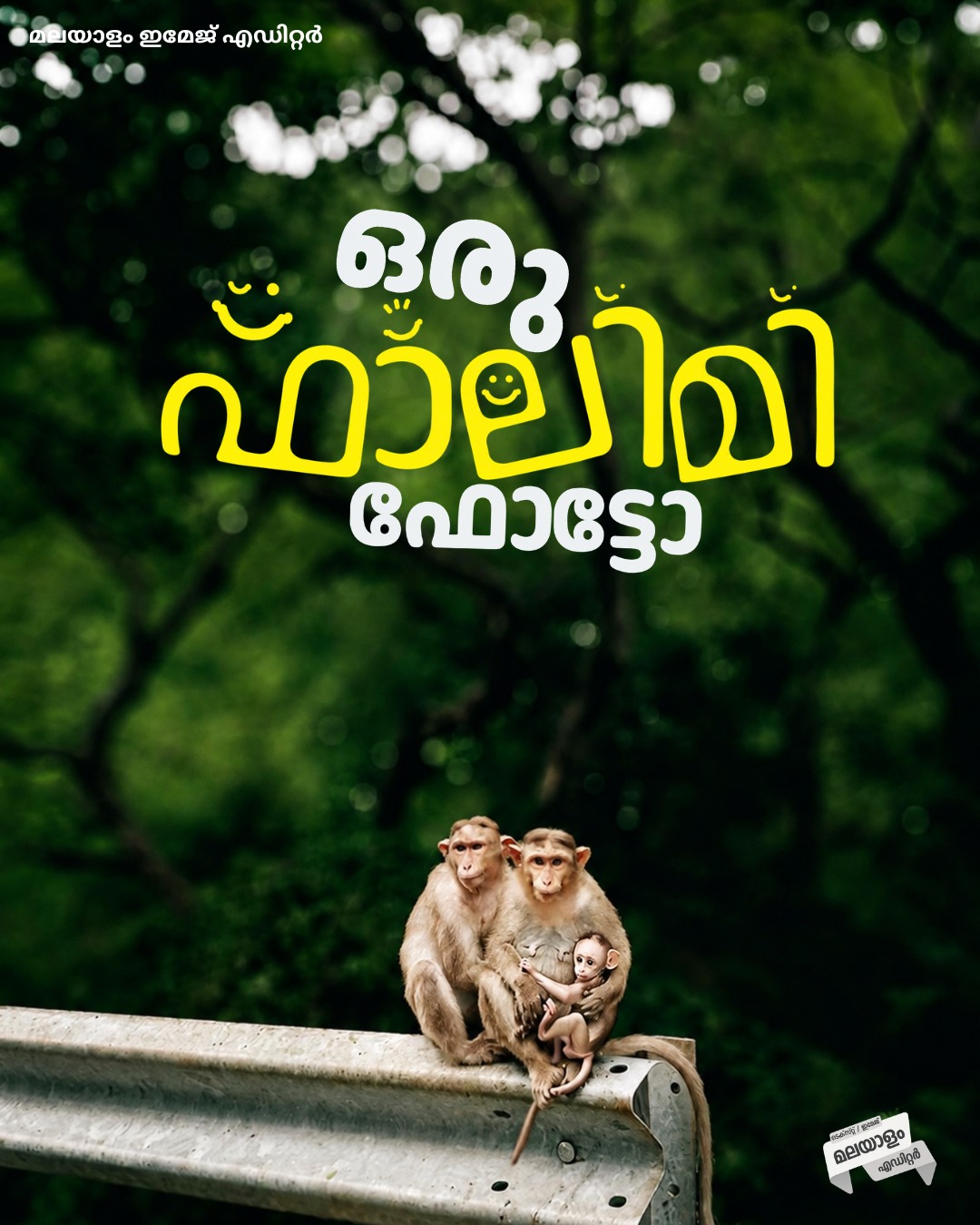 Malayalam Image Editor font poster sample 1