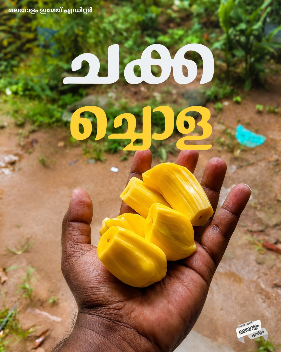 Malayalam Image Editor font poster sample 15