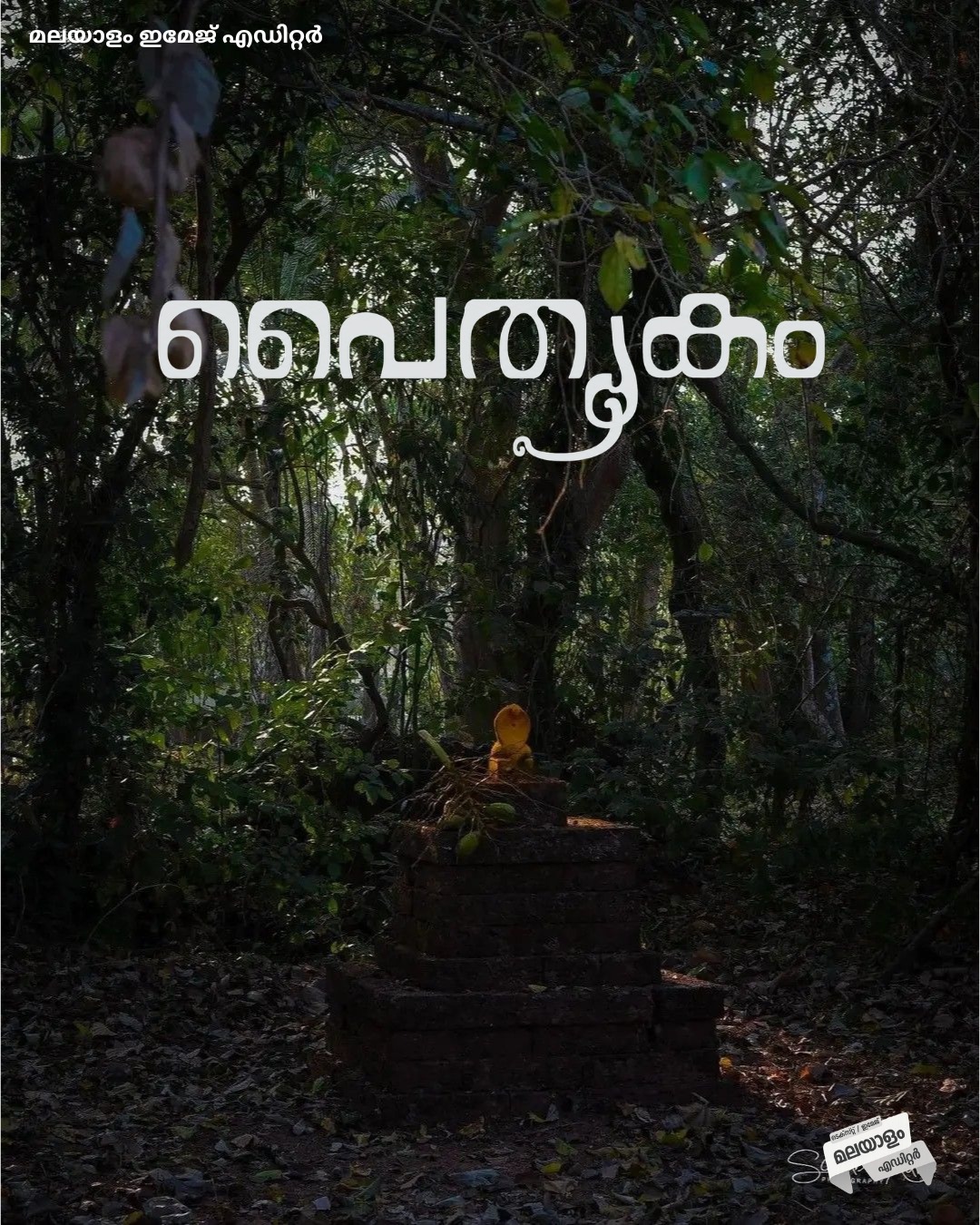 Malayalam Image Editor font poster sample 17